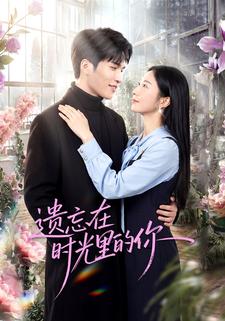 遗忘在时光里的你