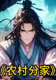 农村分家