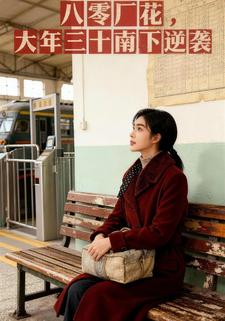 八零厂花，大年三十南下逆袭