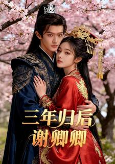 三年归后谢卿卿