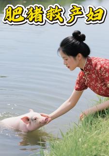 肥猪救产妇