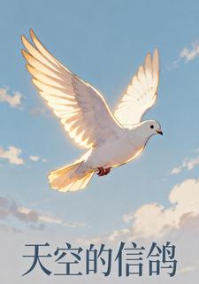 天空的信鸽
