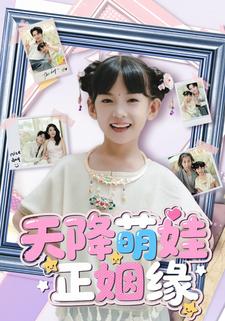 天降萌娃正姻缘