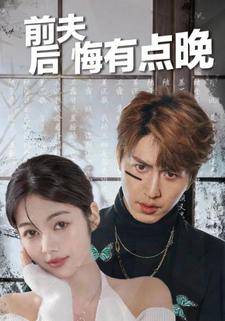 前夫后悔有点晚