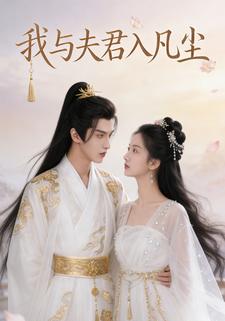 我与夫君入凡尘
