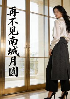 再不见南城月圆