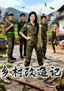 乡村改造记