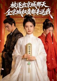 被逐出京城那天，全京城权贵都来送我