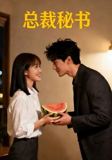 总裁秘书