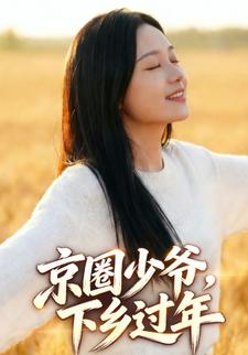 京圈少爷，下乡过年