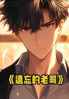 遗忘的老哥