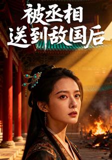 被丞相送到敌国后