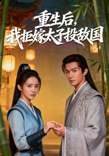 重生后，我拒嫁太子投敌国