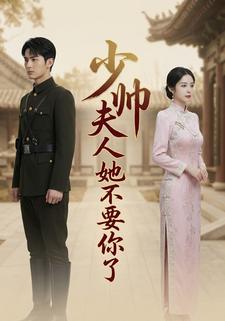 少帅夫人她不要你了