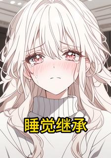 睡觉继承