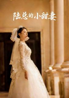 陆总的小甜妻