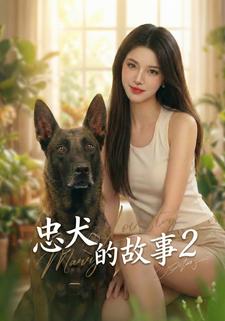 忠犬的故事2