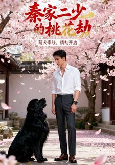 秦家二少的桃花劫