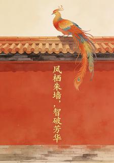 凤栖朱墙，智破芳华