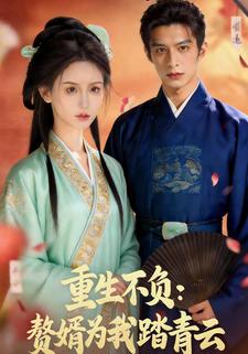 重生不负：赘婿为我踏青云