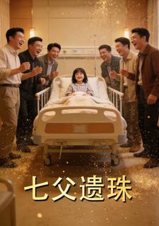 七父遗珠