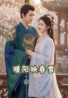 暖阳映春雪