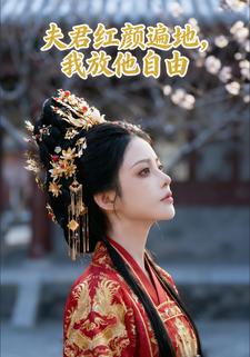 夫君红颜遍地，我放他自由