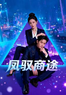 凤驭商途