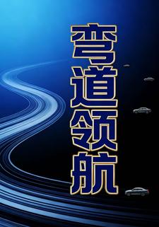 弯道领航