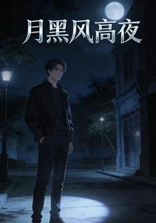 月黑风高夜