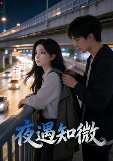 夜遇知微