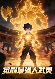 觉醒最强人武灵