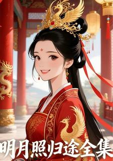 明月照归途全集
