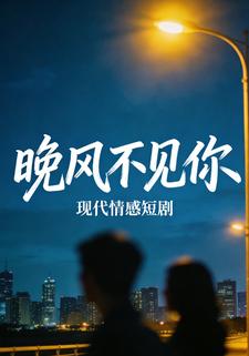 晚风不见你