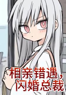 相亲错遇，闪婚总裁