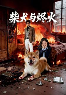 柴犬与烬火