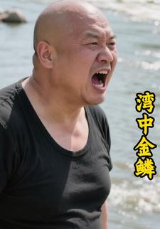 湾中金鳞