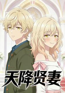 天降贤妻