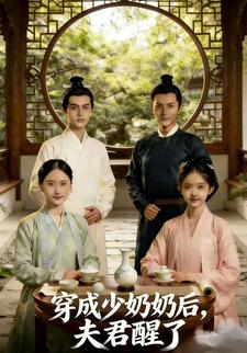 穿成少奶奶后，夫君醒了
