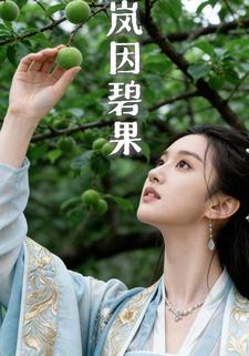 岚因碧果