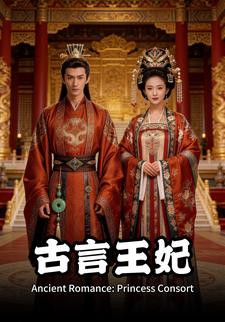 古言王妃