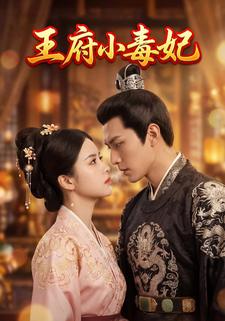 王府小毒妃