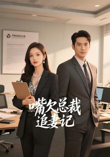 嘴欠总裁追妻记