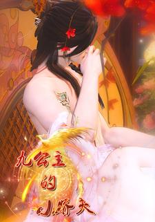九公主的小娇夫