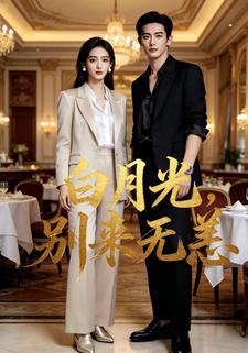 白月光，别来无恙
