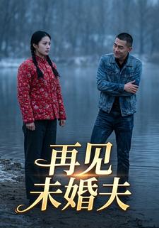 再见未婚夫