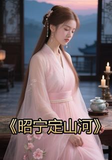 昭宁定山河