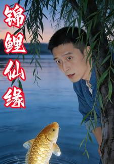 锦鲤仙缘