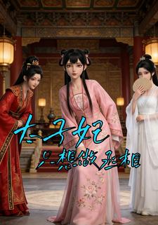 太子妃只想做丞相