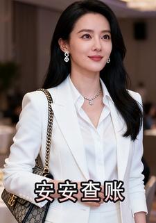 安安查账